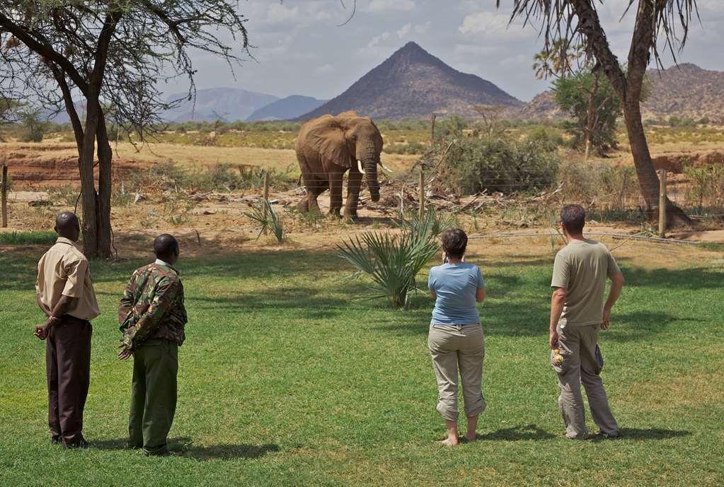 Hotel Ashnil Samburu Camp Esterno foto