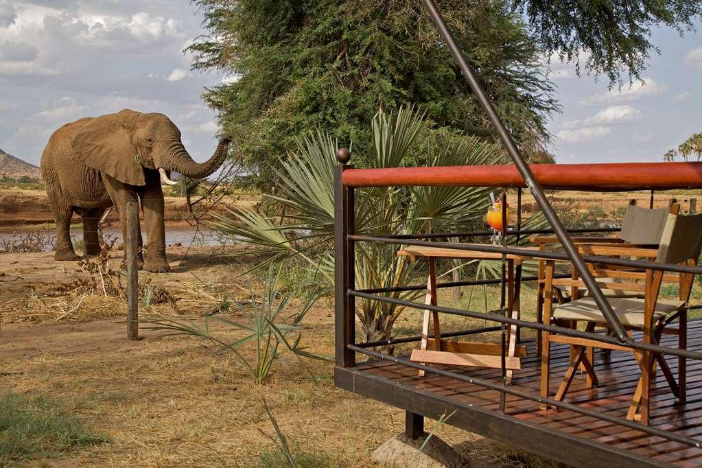 Hotel Ashnil Samburu Camp Esterno foto