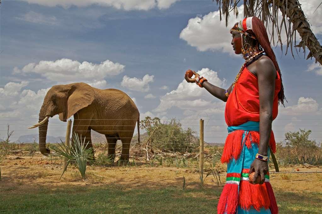 Hotel Ashnil Samburu Camp Servizi foto